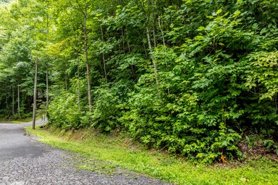 Lot 48 Riversong Way, Sevierville, TN 37876 - photo 6