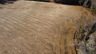 TBD Black Creek Rd, Nichols, SC 29581 - photo 5