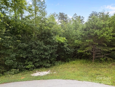 00000 Deer Jump Trail unit 351, Lake Lure, NC 28746 - photo 5