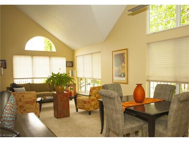 23457 Grist Mill Ct unit 1003, Olmsted Falls, OH 44138 - photo 3