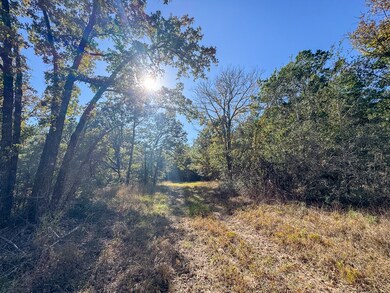 80 Rosenwall Rd, Huntsville, TX 77320 - photo 6