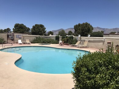 Pool area 1