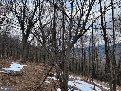 63 Sit Back Rd Off 93 E, Mount Storm, WV 26739 - photo 4