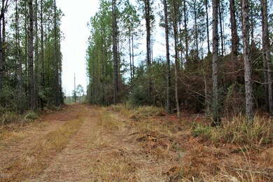 28.70 Cooks Corner, Lucedale, MS 39452 - photo 6