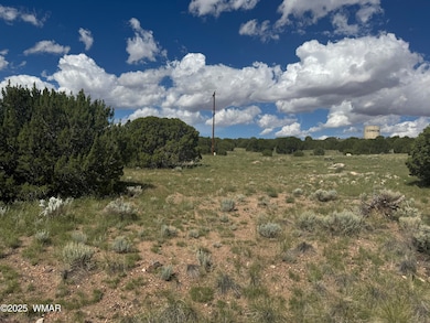 79 Alpine Ln, Concho, AZ 85924 - photo 2