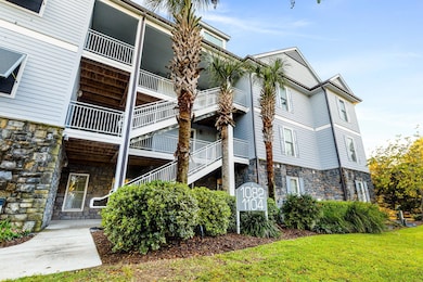 1082 Bridge View Ln unit A101, Summerton, SC 29148 - photo 4
