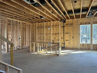 55 Hobby Farm Rd, Pittsboro, NC 27312 - photo 5