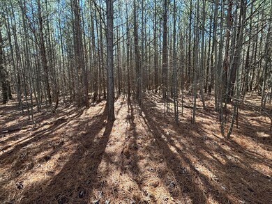 9 Tennessee 399, Dunlap, TN 37327 - photo 7