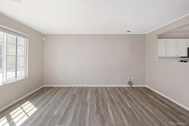 10133 Eudora Ct, Thornton, CO 80229 - photo 5
