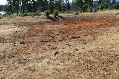 686 Bille Rd, Paradise, CA 95969 - photo 3