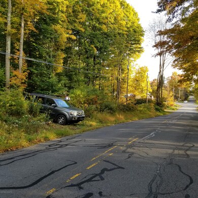 L 1 Laurel Rd, Covington Township, PA 18444 - photo 5