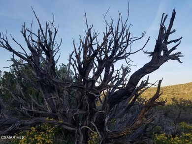 0 W Panorama unit 225005664, Llano, CA 93544 - photo 5