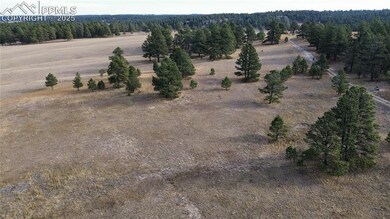 Aerial view of property's location featuring rural landscape and a forest