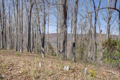 Watauga-5