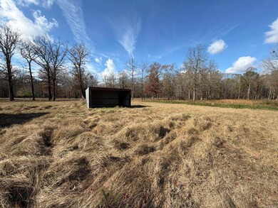 354 Michelle Ln, Austin, AR 72007 - photo 6