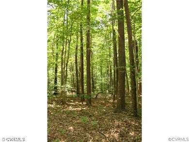 Land - This is a great property and will be perfec