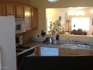 photo17