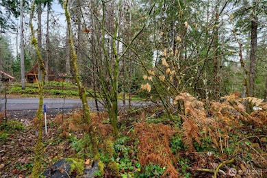 318 Paradise Dr, Eatonville, WA 98328 - photo 6