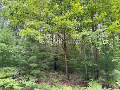 6362 Cedar Trace, Canadian Lakes, MI 49346 - photo 2