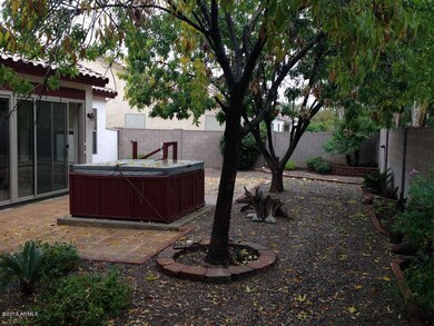 Rear Yard (1)