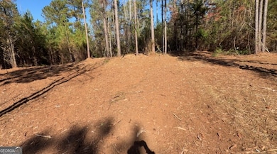 TRACT B Russellville Rd, Forsyth, GA 31029 - photo 2