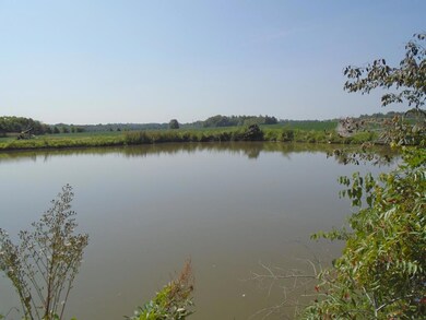 000 Estill Baker Rd, Hanson, KY 42413 - photo 6