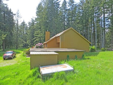 16830 Ty Ln SW, Rochester, WA 98579 - photo 3