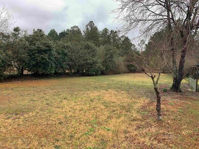 132 Herring Rd, Sylvester, GA 31791 - photo 6