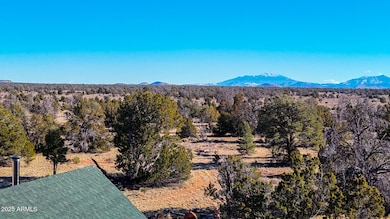 dji_fly_20250117_151056_0026_17372201582