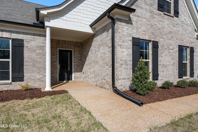 951 Collie Dr, Hernando, MS 38651 - photo 6