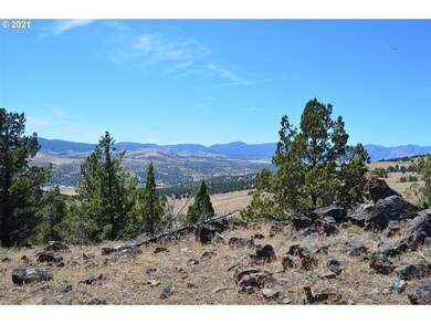 0 Davis Creek unit 21278766, John Day, OR 97845 - photo 5