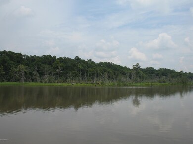 1550 El Camino Rd unit 3, Jacksonville, FL 32216 - photo 4