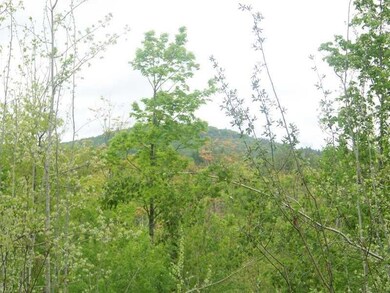 Lot 1A Spring Rd, Newfield, ME 04056 - photo 4