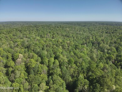 DJI_20250411100423_0007_V