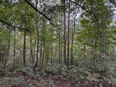 19.3 County Road 200, Danville, AL 35619 - photo 4