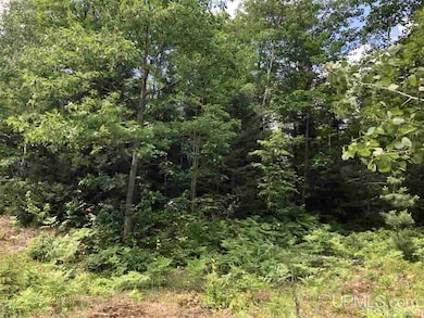 Lot F Maple Wood Ln, Gwinn, MI 49841 - photo 2