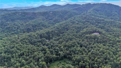 0 Bell Mountain Rd unit 1188541, Walnut Grove, NC 28635 - photo 3