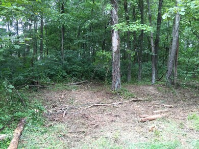 0 Tolliver Rd unit Lot C 216031341, Logan, OH 43138 - photo 3