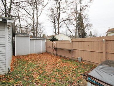 263-445496-backyard 2