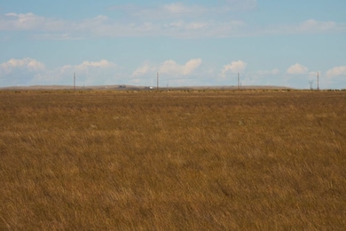 Tbd Cr 73 Lot unit WP001, Hereford, CO 80732 - photo 4