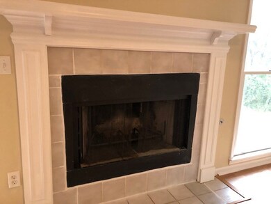 Fireplace in Great Room