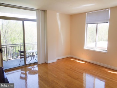4490 Market Commons Dr unit 310, Fairfax, VA 22033 - photo 5