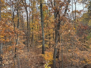 View of woods