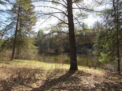 Thunder Bay River 3