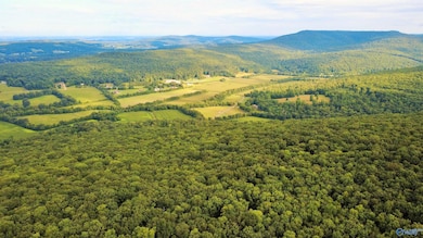 80 Kroff Rd, Gurley, AL 35748 - photo 4