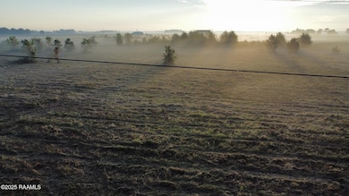 1050 Jolene Rd, Basile, LA 70515 - photo 2