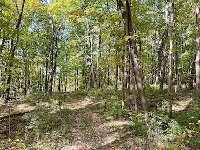 2443 140th St, Galesburg, IL 61401 - photo 2