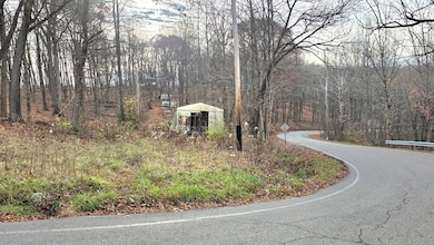 3307 Potts Hill Rd, Bainbridge, OH 45612 - photo 3