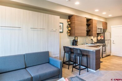 610 E 8th Ave unit 210, Durango, CO 81301 - photo 4