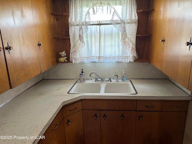 Kitchen Sink Area